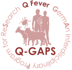 Q-Gaps Logo