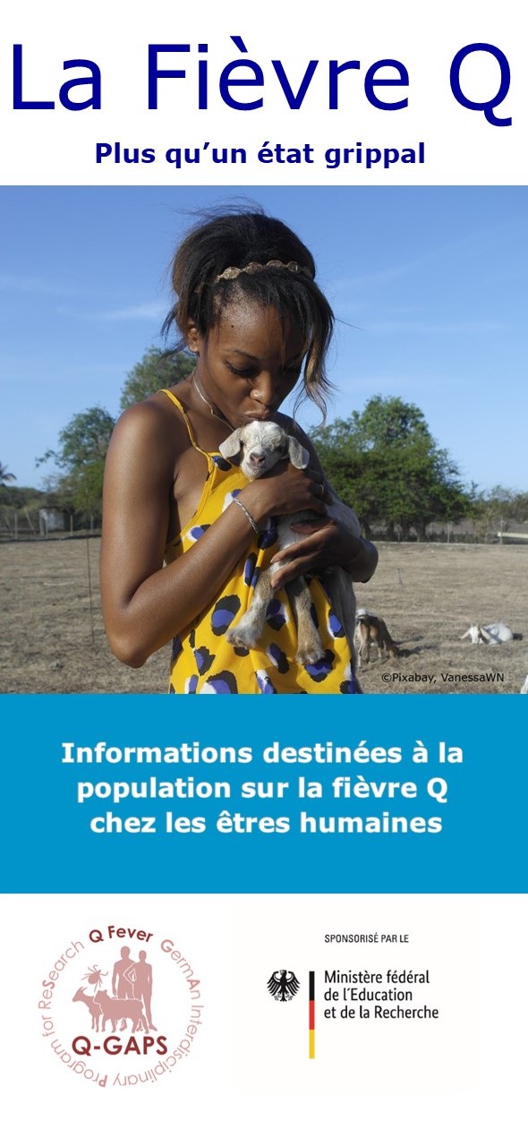 Flyer Q-Fieber Bevölkerung Benin
