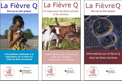 Q-Fieber Flyer französisch Benin